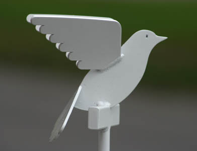 Dove on the Wall