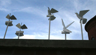 Doves on the wall
