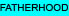 Links to Fatherhood Sites