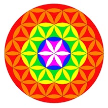The Flower of LIfe 6