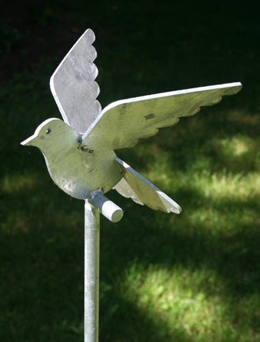 Garden Dove - Galvanized