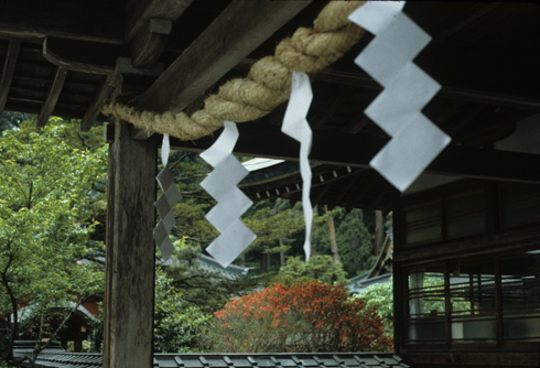 Japanese Spirit Catcher