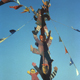 Joy of The Child - Detail01