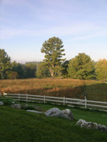 view from yard