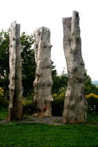 "Spruce Echoes" by Emilie Brzezinski