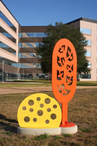 Texas Children's Hospital West Campus