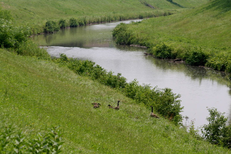 The Onondaga Creek - the site is to the left