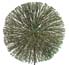 Harry Bertoia