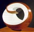 Barbara Hepworth