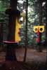 Conversations in the Woods