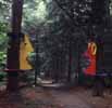 Conversations In The Woods
