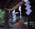 Shinto Shrine, Japan