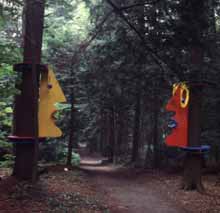 Conversations In The Woods