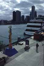 Standing Tall ... on Chicago's Navy Pier